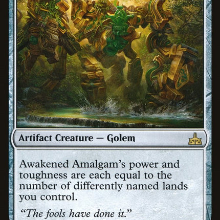 Awakened Amalgam [RIX - 175]