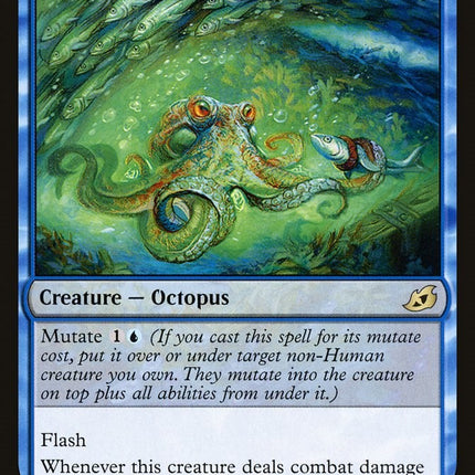 Sea-Dasher Octopus [IKO - 66]