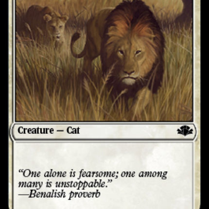Savannah Lions [DMR - 24]