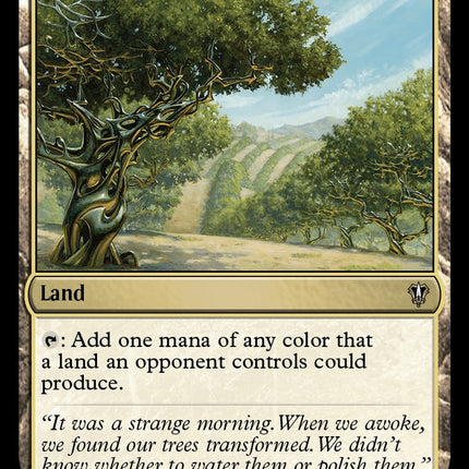 Exotic Orchard [MKC - 260]