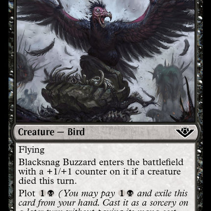 Blacksnag Buzzard [OTJ - 79]