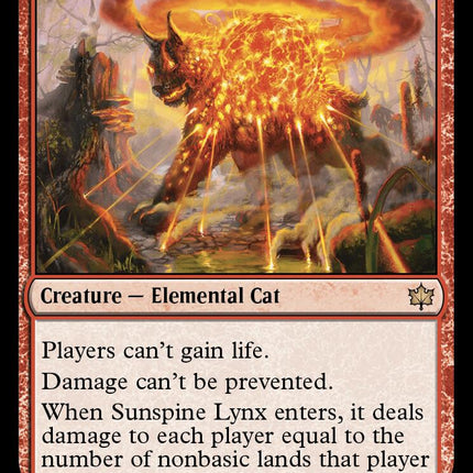 Sunspine Lynx [BLB - 155]